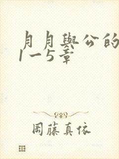 月月与公的激情1一5章