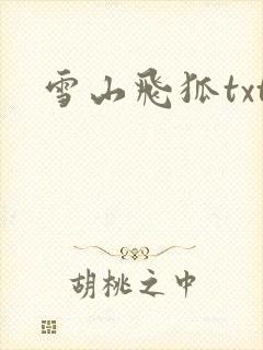 雪山飞狐txt