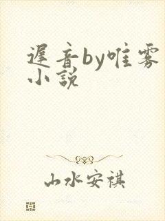 迟音by唯雾的小说