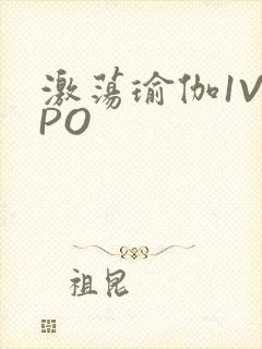 激荡瑜伽1V2PO