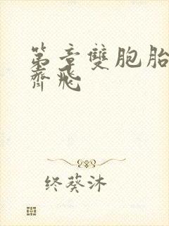 第章双胞胎姐妹齐飞