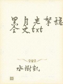 黑月光拿稳小说全文txt