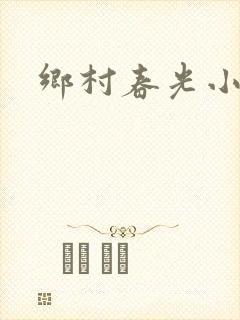 乡村春光小说