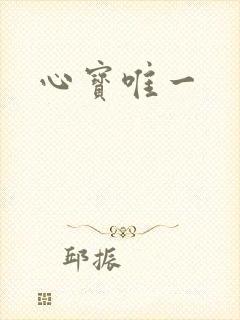 心宝唯一