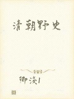 清朝野史