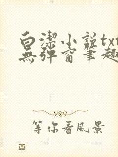 白洁小说txt无弹窗笔趣阁