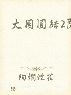 大团圆结2阅读