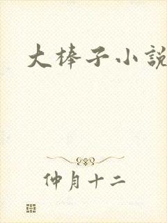 大棒子小说