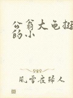 公翁大龟挺进我的小