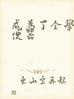 成为了全学校坐便器