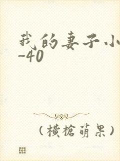 我的妻子小谨1-40