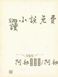 sm小说免费阅读