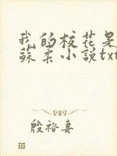 我的校花是福姬苏柔小说txt