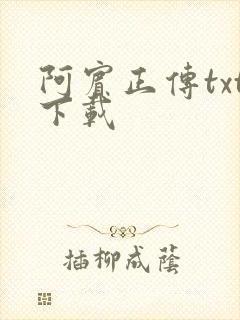 阿宾正传txt下载