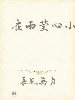 夜雨莹心小说