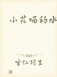 小花喵的水蜜桃