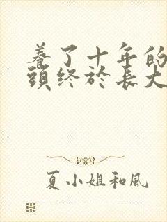 养了十年的小丫头终于长大了