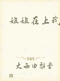 姐姐在上我在下