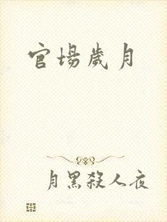 官场岁月