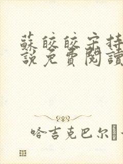 苏皎皎宋持的小说免费阅读