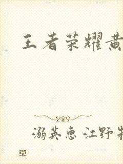 王者荣耀黄化网