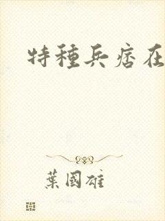 特种兵痞在都市