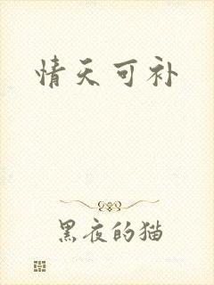 情天可补