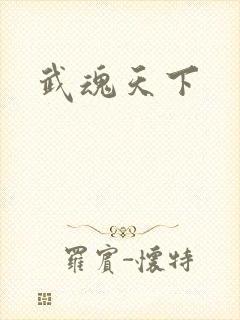 武魂天下