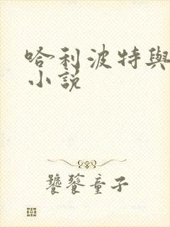 哈利波特与密室小说