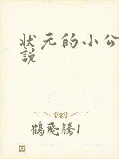 状元的小公主小说