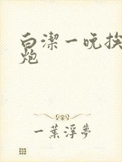 白洁一晚挨十二炮