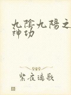 九阴九阳之阴阳神功