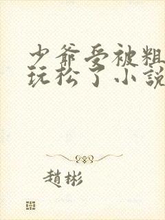 少爷受被粗汉H玩松了小说