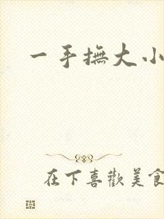 一手抚大小说