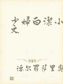 少妇白洁小说全文