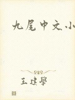 九尾中文小说网