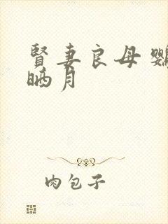 贤妻良母 鹦鹉晒月