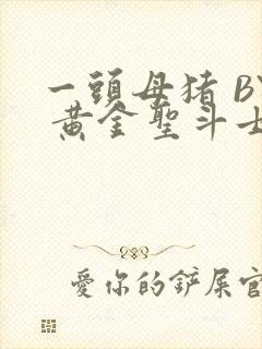 一头母猪 BY 黄金圣斗士