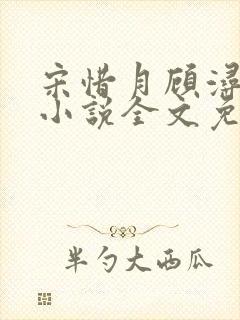 宋惜月顾浔渊的小说全文免费阅读