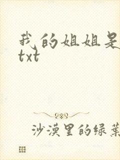 我的姐姐是美女txt