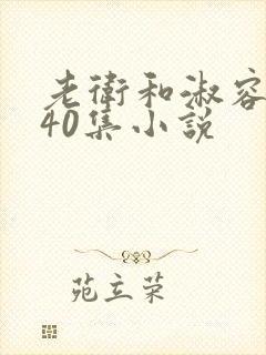 老卫和淑容1-40集小说