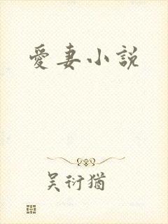 爱妻小说