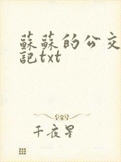 苏苏的公交车日记txt