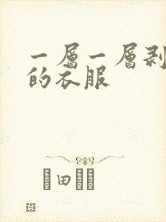 一层一层剥开你的衣服