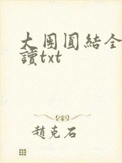 大团圆结全文阅读txt