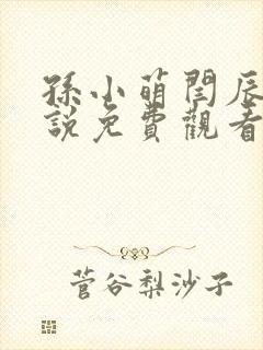 孙小萌闫辰的小说免费观看