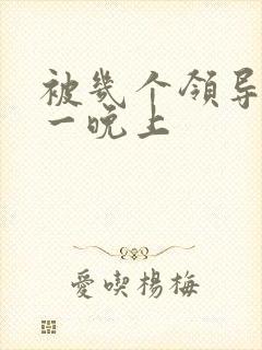 被几个领导玩弄一晚上