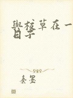 与校草在一起的日子