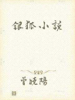 银狐小说