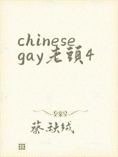 chinesegay老头4